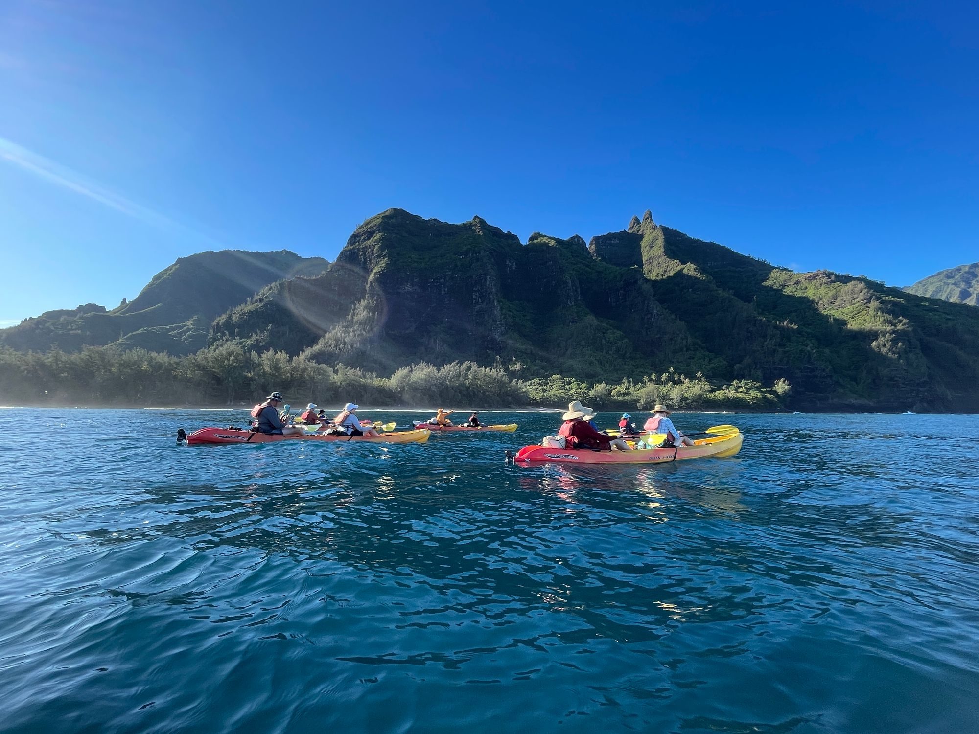 Sea turtle seen during Na Pali Coast kayak tour Hawaii